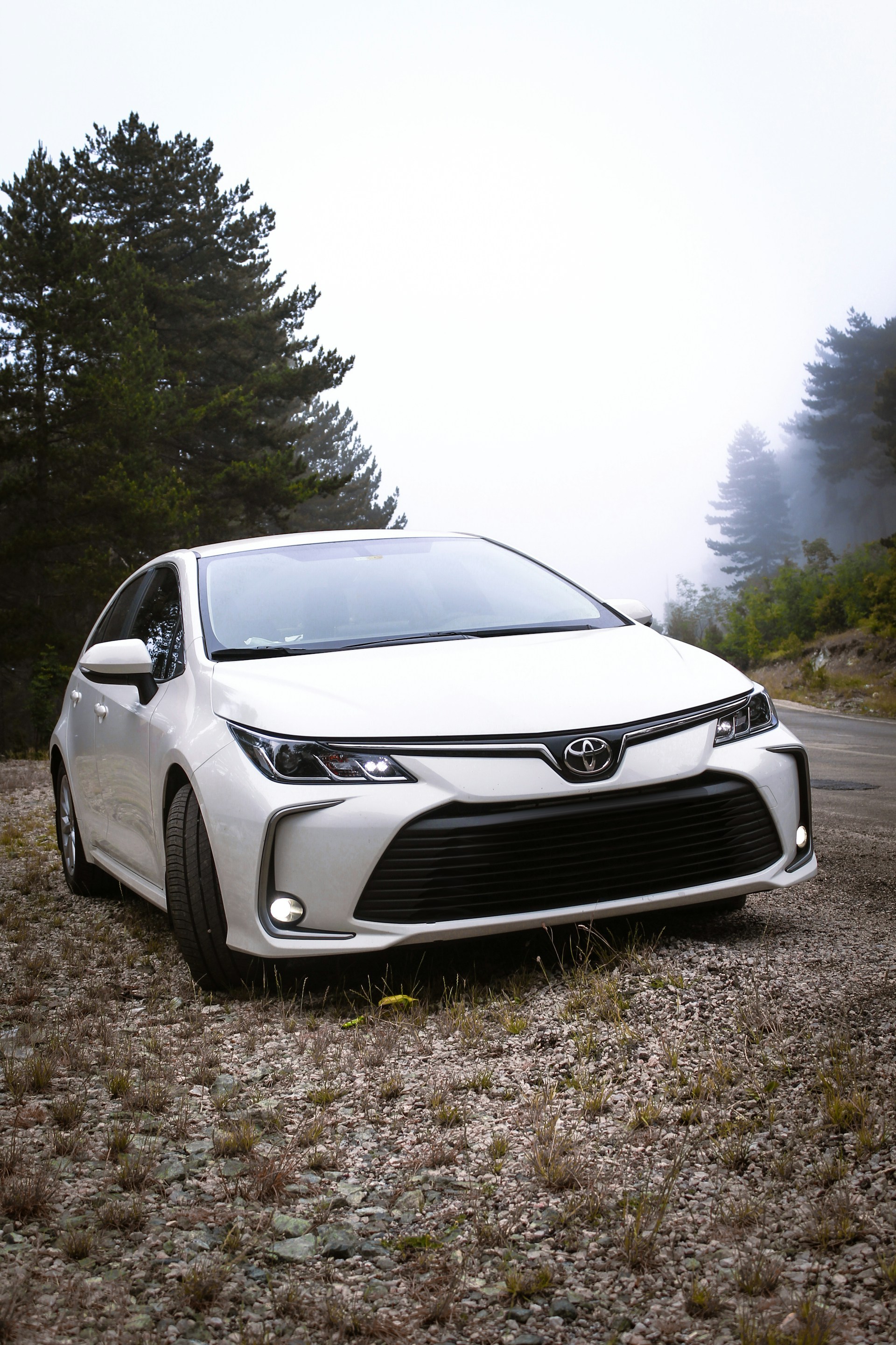 Toyota Prius Settle Car